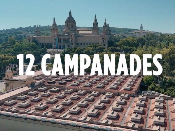 Resum 2025 MNAC